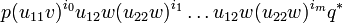 p(u_{11}v)^{i_0}u_{12}w(u_{22}w)^{i_1}\dots u_{12}w(u_{22}w)^{i_m}q^*